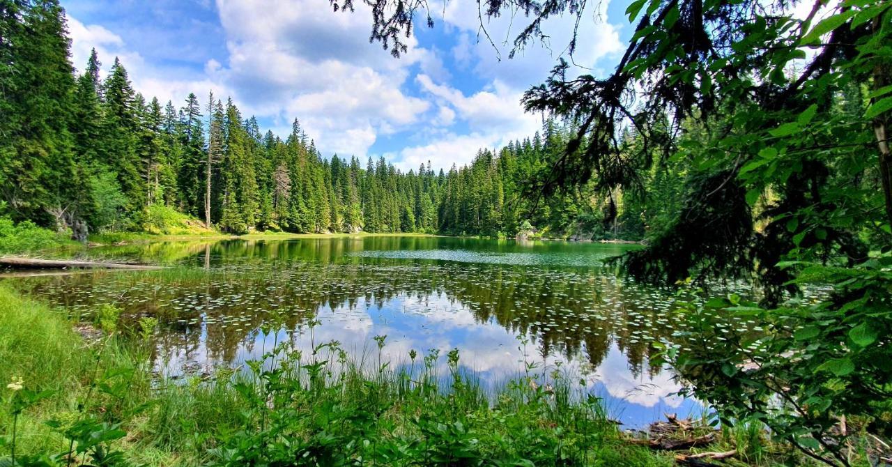 Hedonist Village Zabljak  Bagian luar foto