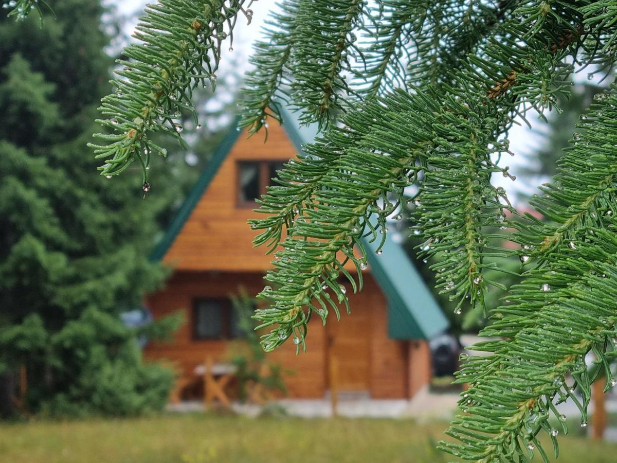 Hedonist Village Zabljak  Bagian luar foto